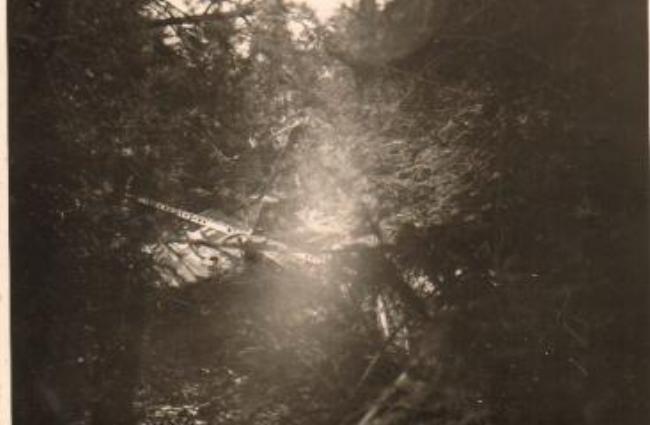 Images/Crash site 3.jpg